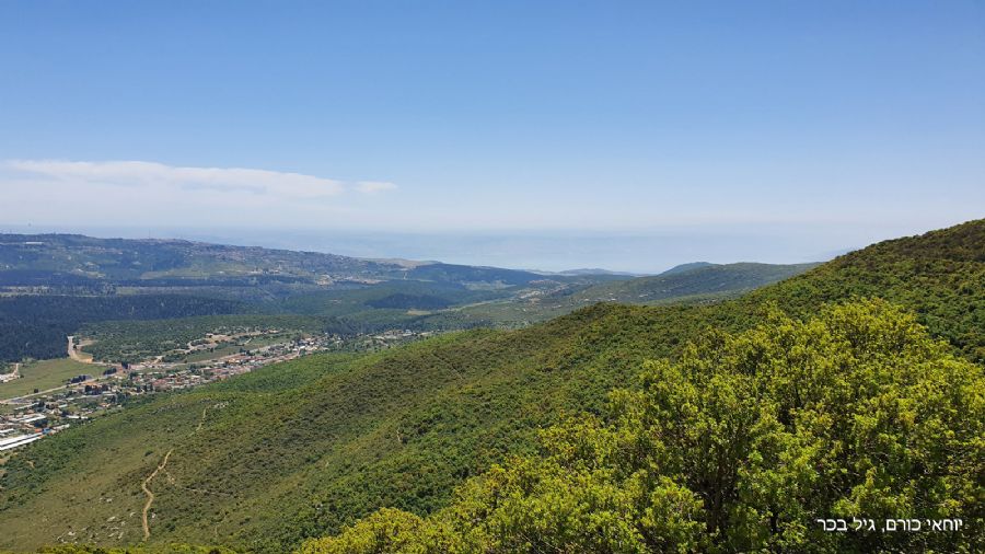 סובב הר מירון